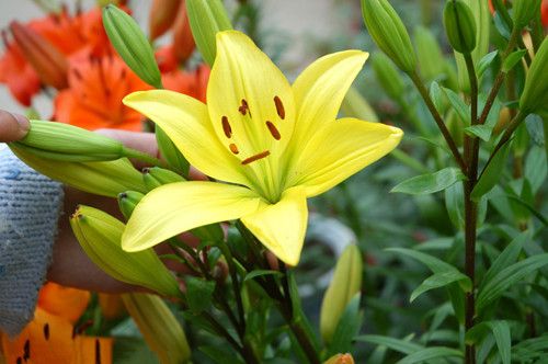 ��ô�԰ٺϺ� ����԰ٺϵ�7��ô� www.027eat.com