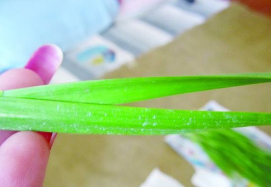 �²��ж�����ô���£� www.027eat.com