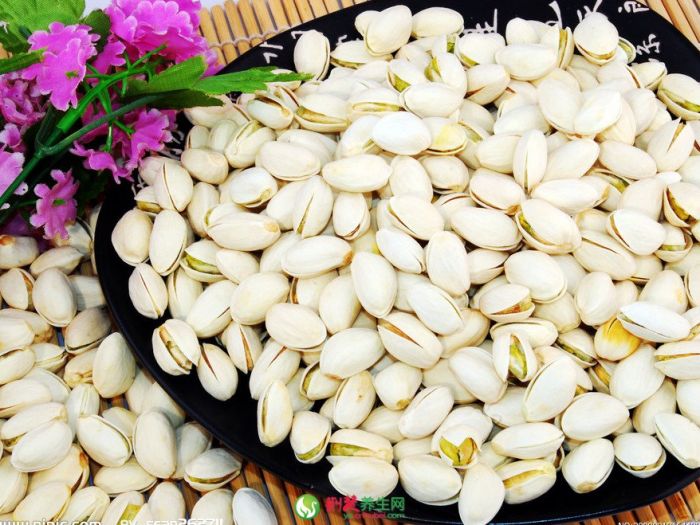 ���Ĺ������� www.027eat.com