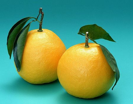 ���������� �����ֲ�ˮ www.027eat.com