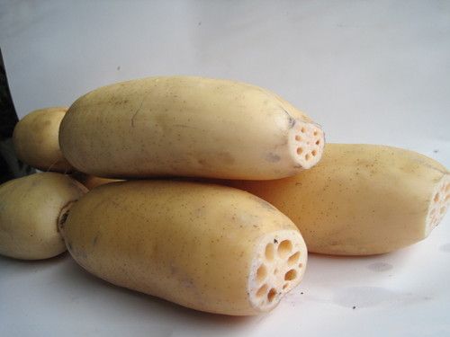 ��ź�Ĺ�Ч������ www.027eat.com