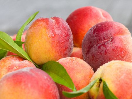 ��������ЩӪ����ֵ www.027eat.com