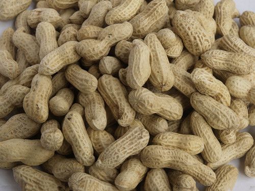 ���ٹ���ɴ����� 7���˻����Զ��׶��� www.027eat.com