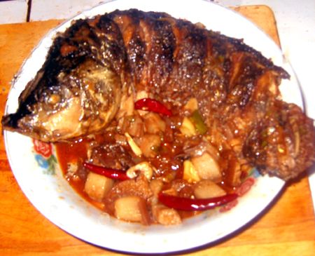 ����������ô���� www.027eat.com