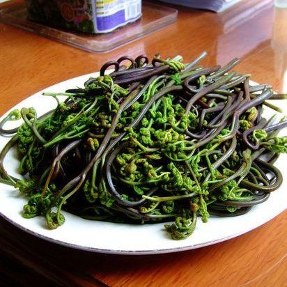 ��ާ����ʲô�ô��� www.027eat.com