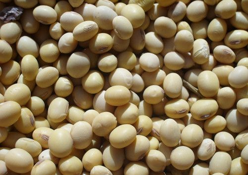 黄豆的功效与作用 黄豆的十大惊人好处 www.027eat.com