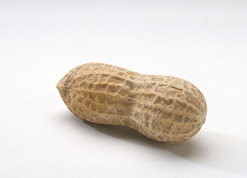 花生10种吃法治病有奇效 www.027eat.com