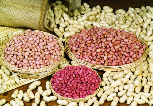 花生10种吃法治病有奇效 www.027eat.com