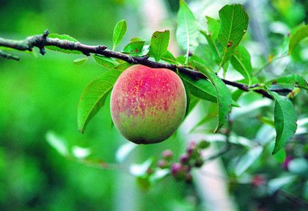 ���ӵĽ����Է��ͽ��� www.027eat.com