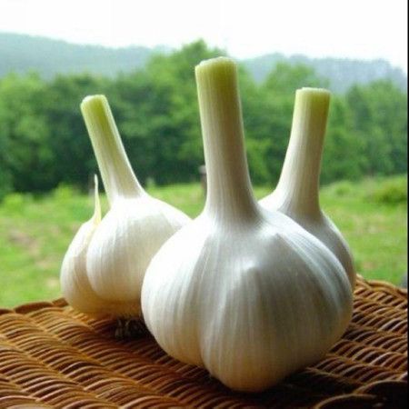 ��������ʲô���ú͹�Ч�� www.027eat.com