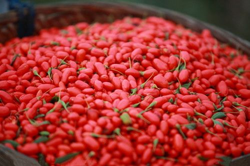 �۾�ƣ�ͺ���轻ƾ��� www.027eat.com