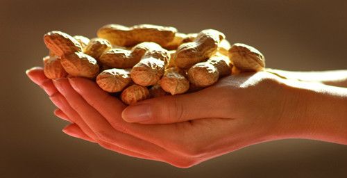 ������������������θ www.027eat.com