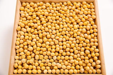 �ƶ�Ӫ������ Ϊ�β��˶�� www.027eat.com