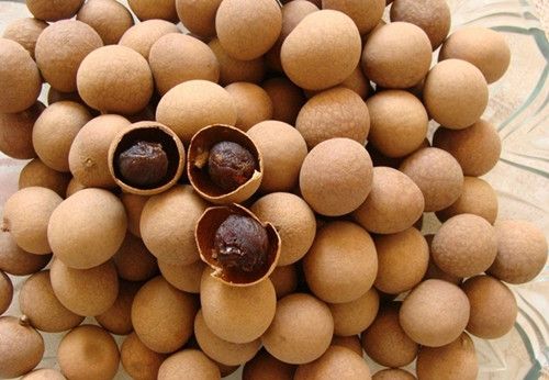 ��Բ9��ʳ�Ʒ� ��Բ�Ƣ���԰��� www.027eat.com