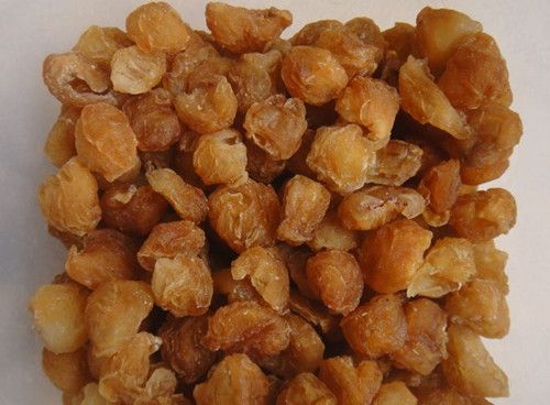 ��Բ9��ʳ�Ʒ� ��Բ�Ƣ���԰��� www.027eat.com