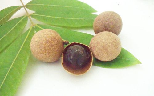 ��Բ9��ʳ�Ʒ� ��Բ�Ƣ���԰��� www.027eat.com