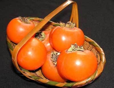 ��������ʲô�ô� www.027eat.com