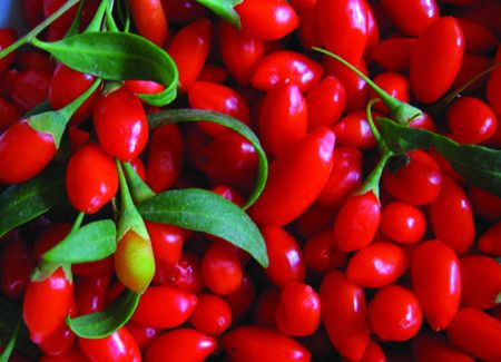 �������ˮ����ʲô�������������ˮ�ȵĸ����� www.027eat.com