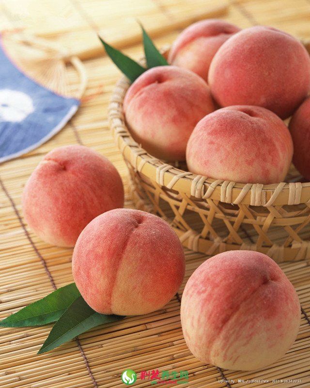 ������������ �����������ӵĳԷ� www.027eat.com