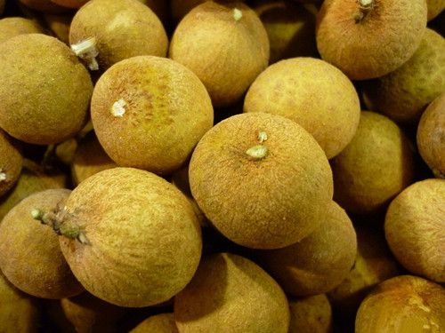 ��Բ���Ľ�Ƣ��Ч�ɴ��� www.027eat.com