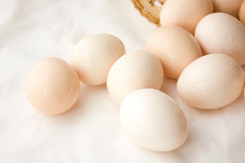 ��α������������� www.027eat.com