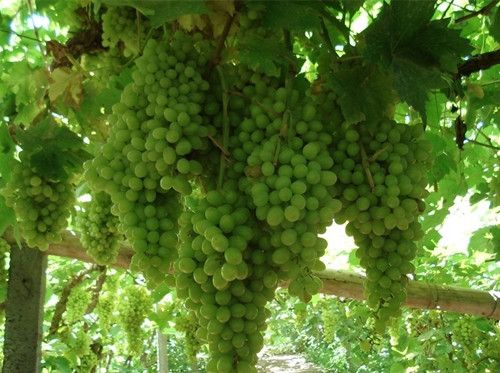 ����������ѡ�뱣���С�ؾ� www.027eat.com