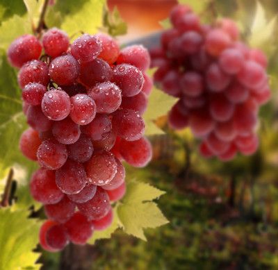 ����������ѡ�뱣���С�ؾ� www.027eat.com