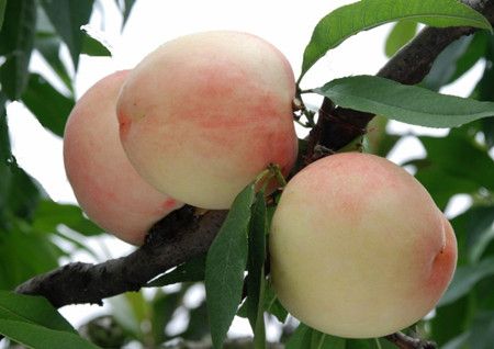 ��������Щ�˲��ʺϳ� www.027eat.com