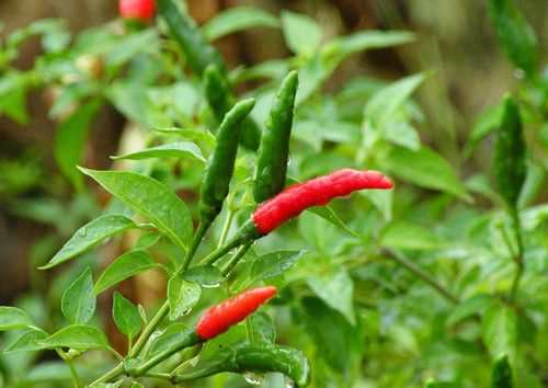 ÿ���������ô���ܹ����ϻ� www.027eat.com