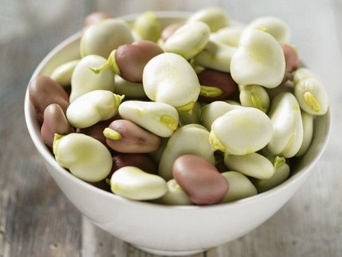 ���ʲ϶������� �Բ϶��Ľ�����Ⱥ www.027eat.com