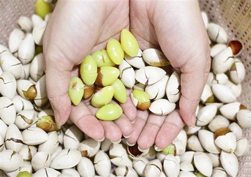 �׹�������ѣ�� �׹��Ĺ�Ч���� www.027eat.com