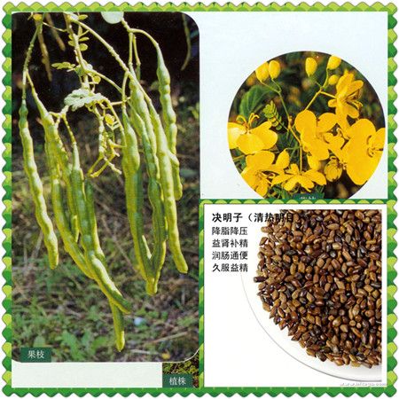 �����ӵĹ�Ч��������� www.027eat.com