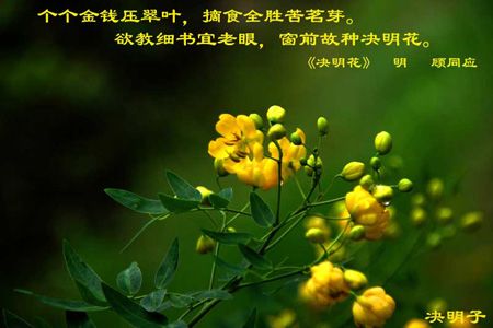 �����ӵĹ�Ч��������� www.027eat.com