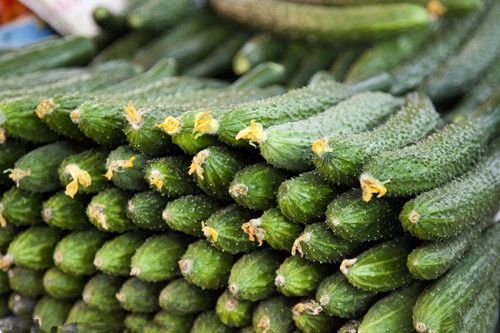 ���ռ�Ʒ �ƹϵ�Ӫ����ֵ�뱣����Ч www.027eat.com