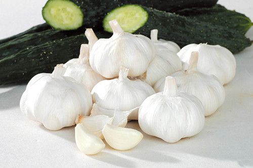 ����������&ldquo;��&rdquo;����ʢ www.027eat.com