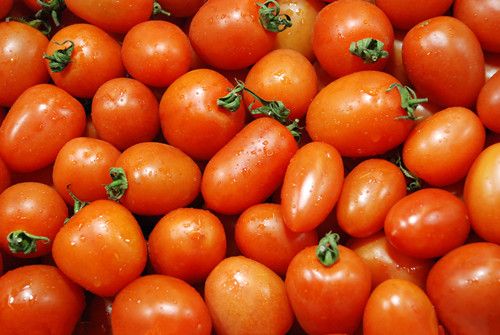 ��������Σ������� ��������5���� www.027eat.com