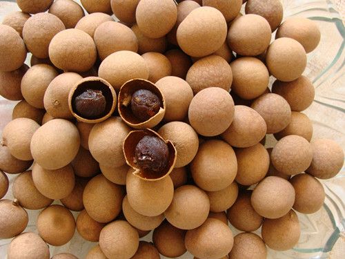 ������Ѫ�Թ�Բ 5��ʳ�÷��� www.027eat.com