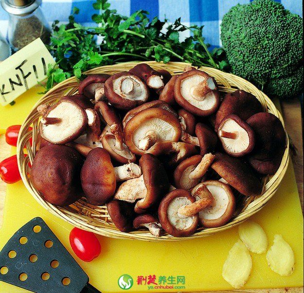 �㹽�Ĺ�Ч������ www.027eat.com