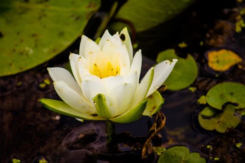 �ٺϻ��Ĺ�Ч�������ݷ� www.027eat.com