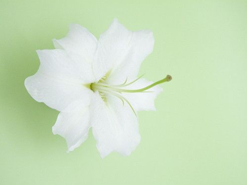 �ٺ�ȥ����� �԰ٺ���ʲô�ô��� www.027eat.com