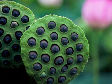 �������� �ļ����� www.027eat.com