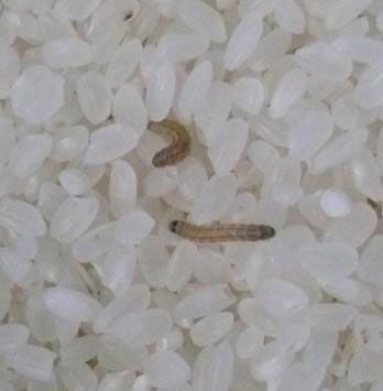 ����������ô��? www.027eat.com