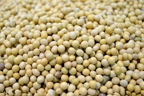 ����ʳ��֮���λƶ��������� www.027eat.com