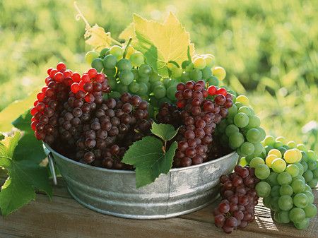 ���ѵĹ�Ч������ www.027eat.com