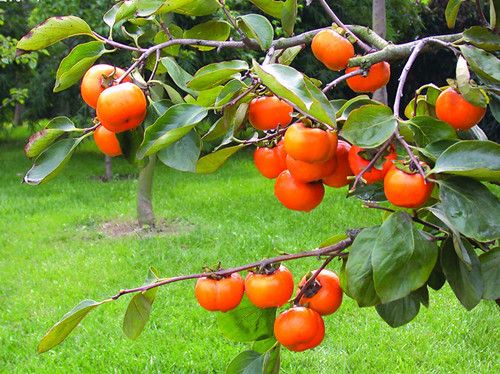 ��������һ����������֪������ www.027eat.com