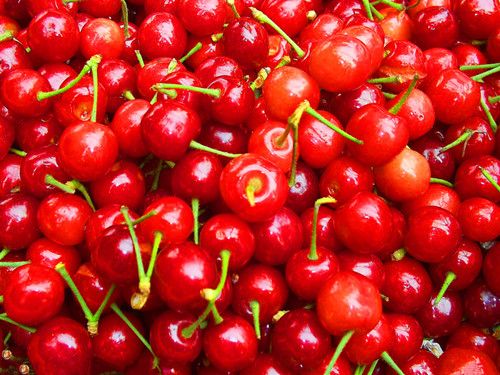 ��Ѫ��������ӣ����ô�� www.027eat.com