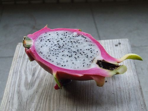 ��������5��Ч��5�ֳԷ� www.027eat.com