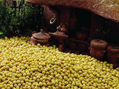 �ƶ��Ĺ�Ч������ �ƶ�������˺ô� www.027eat.com