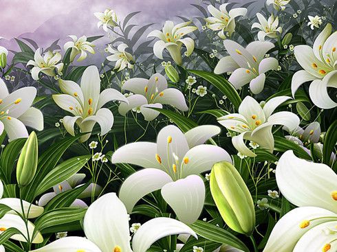 �ٺϵĹ�Ч���� �ٺ�����Щ�ô� www.027eat.com