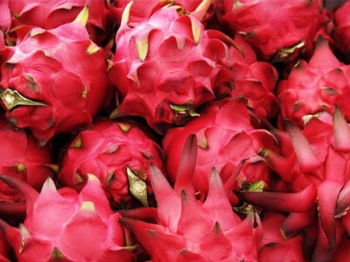 ��������Ӫ���� �����ĸ����� www.027eat.com